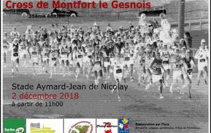 Cross de Montfort Le Gesnois