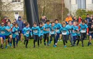 Poussins U12 (2015-2016)