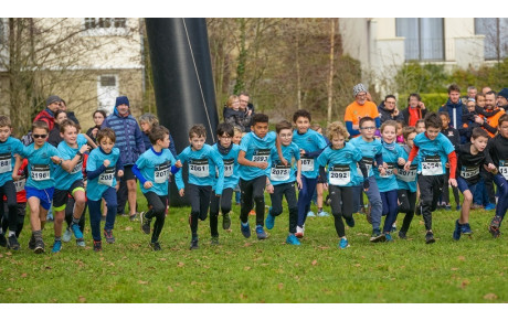 Poussins U12 (2015-2016)